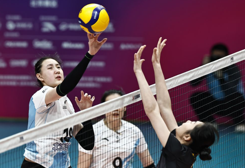 m6米乐在线登录入口适合新手玩家吗